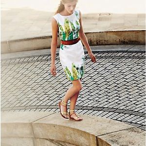 Anthropologie We Love Vera Sketched Danios Fish Print Sheath Dress Sz 4